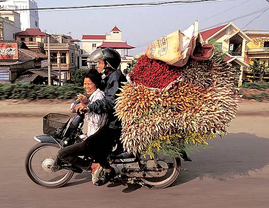 Transportes Estupidos 12